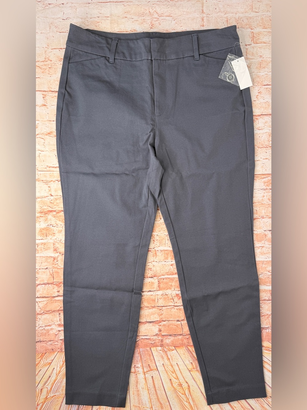 Simply Styled Women's Pixie Ankle Pants in Charcoal Gray